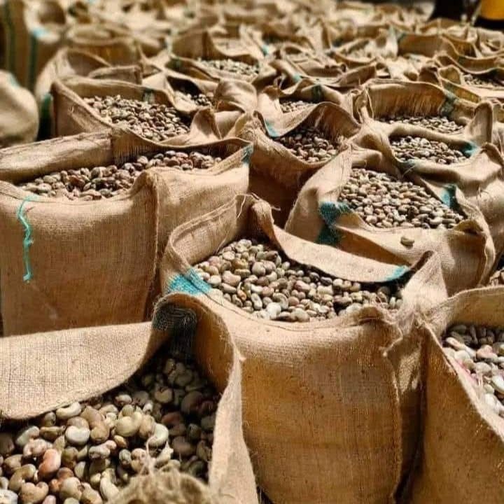 WhatsApp Image 2025-10-14 at 3.42.25 PM